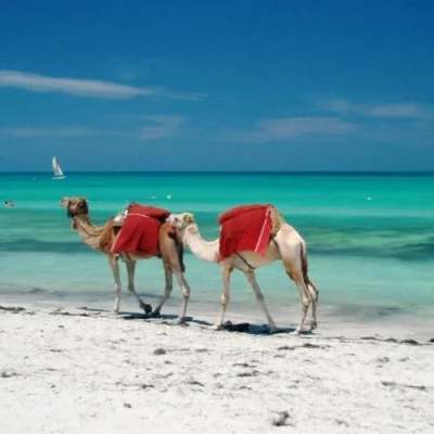Djerba