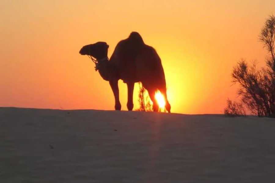 Coucher de soleil – KSAR GHILANE